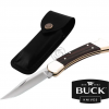 BUCK Knives 110 Folding Hunter knife, Clam