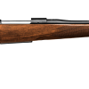 Mauser M12 PURE BOLT-ACTION RIFLE 308 Win